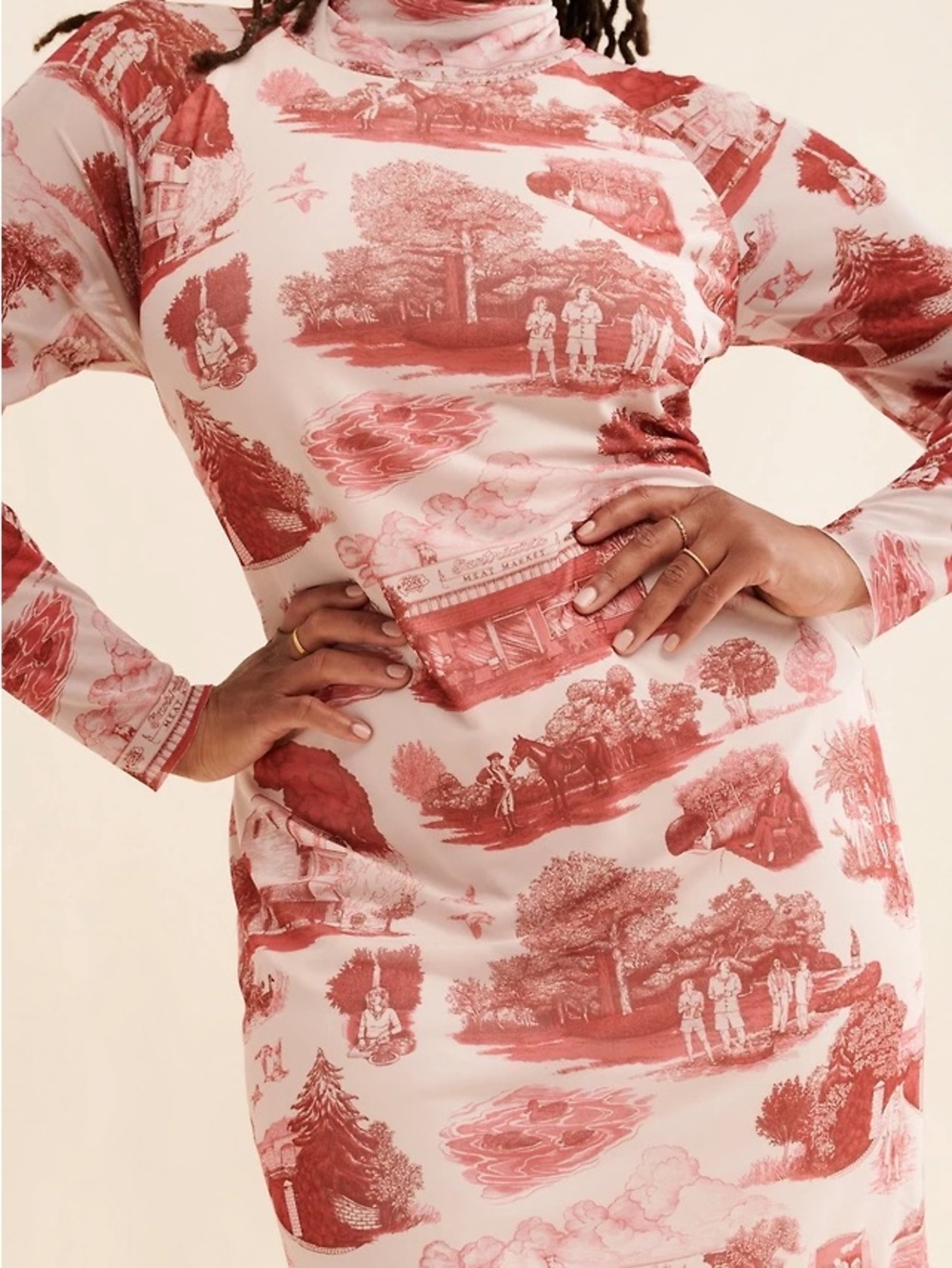 Rachel Antonoff Lilly Dress Tony’s Toile M